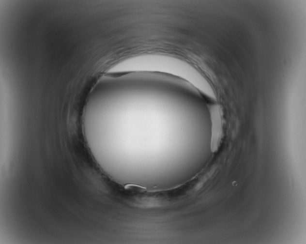 X0000086280209200704191953