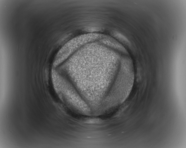 X0000086280210200704191953