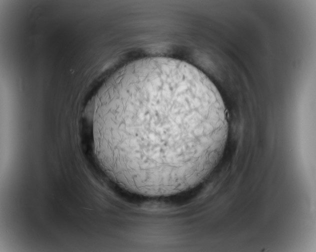 X0000086280211200704191953