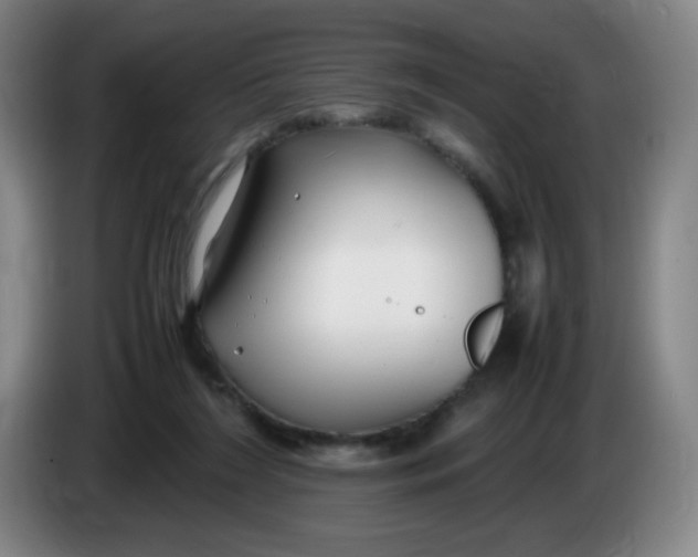 X0000086280212200704191953