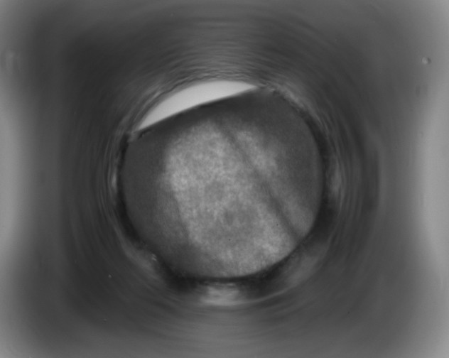 X0000086280214200704191953