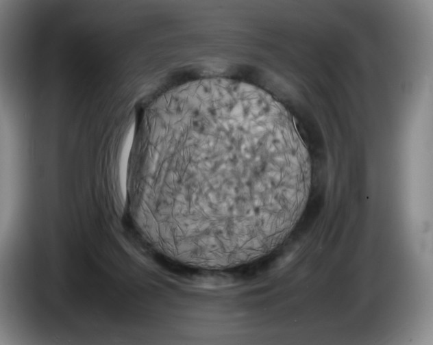 X0000086280215200704191953