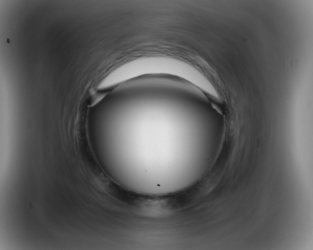 X0000086280217200704191953