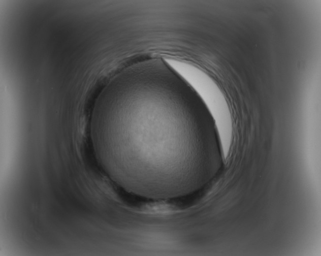 X0000086280219200704191953