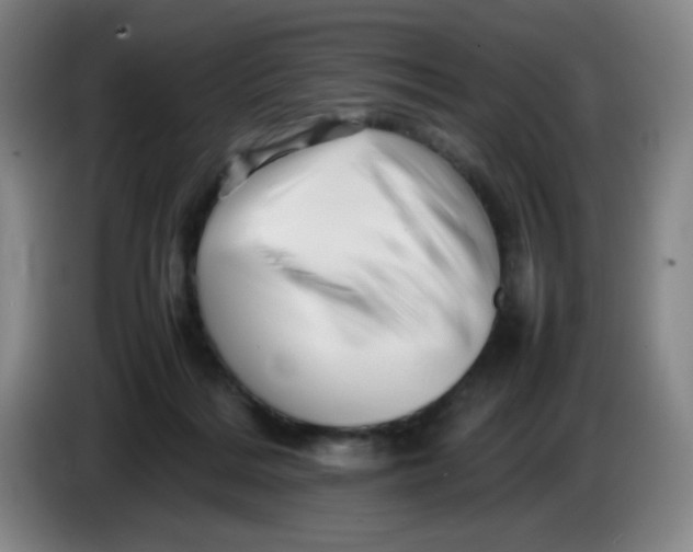 X0000086280220200704191953