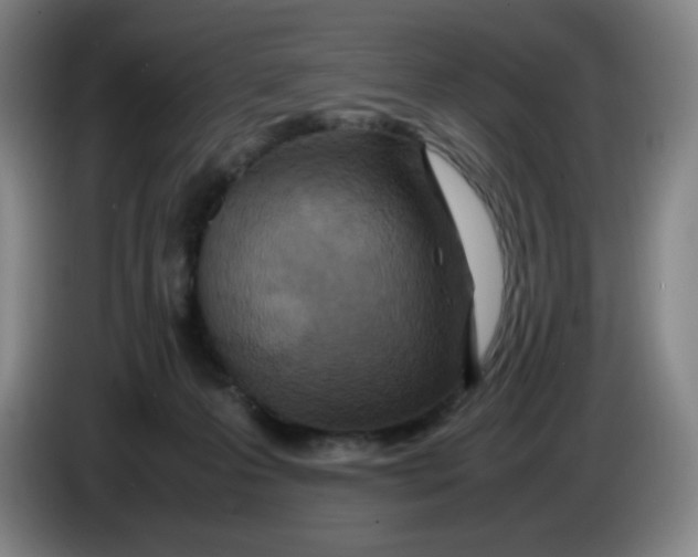 X0000086280223200704191953