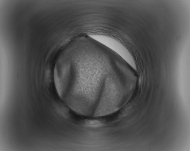 X0000086280224200704191953