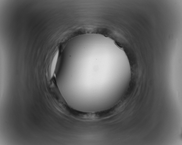 X0000086280225200704191953