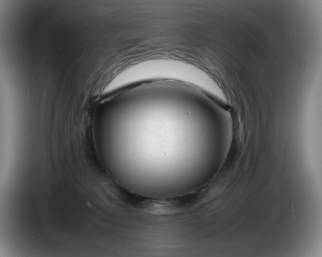 X0000086280229200704191953