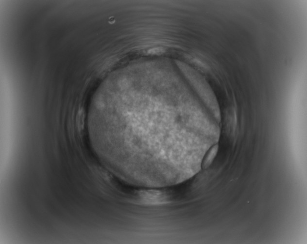 X0000086280230200704191953