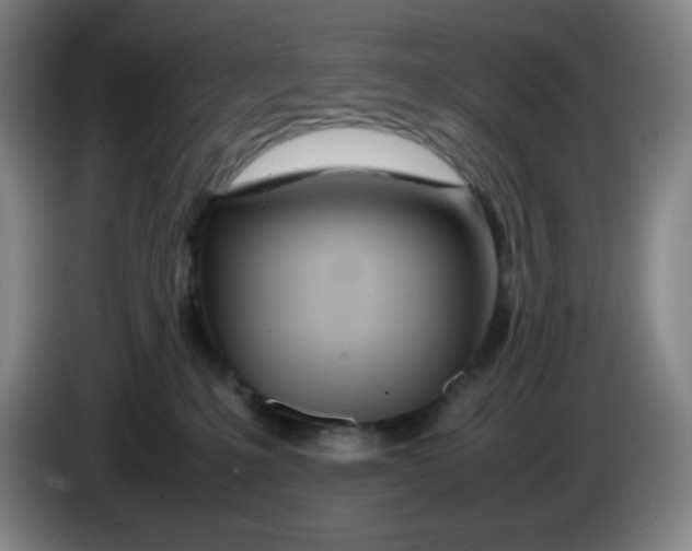 X0000086280231200704191953