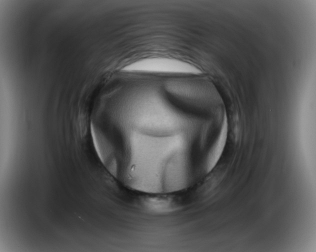 X0000086280232200704191953