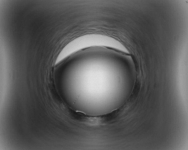 X0000086280233200704191953