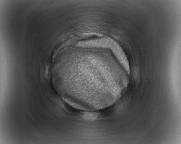 X0000086280234200704191953