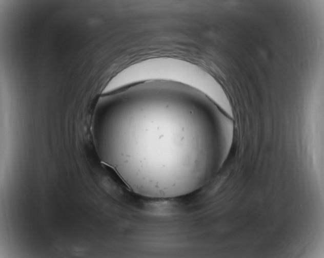 X0000086280237200704191953