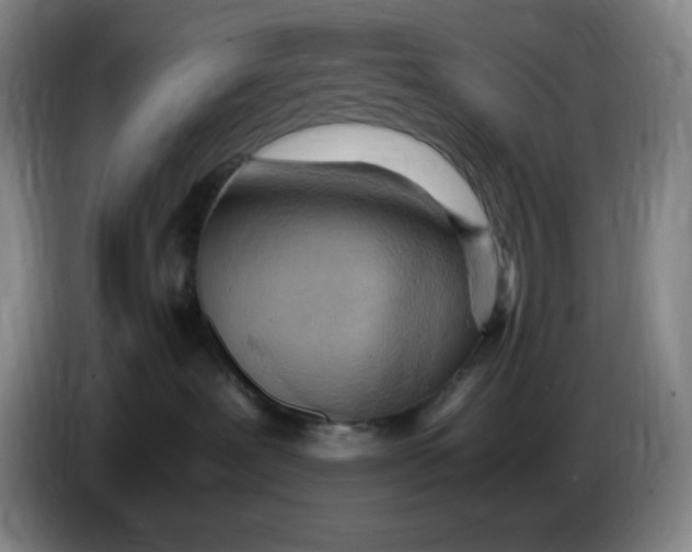 X0000086280239200704191952