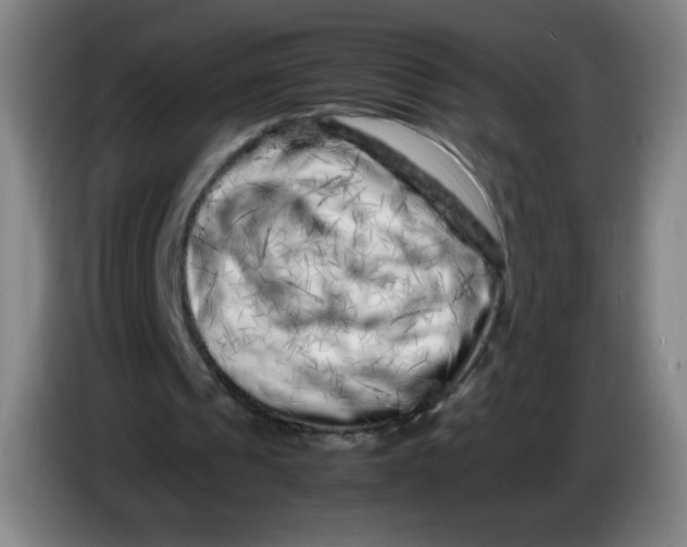 X0000086280241200704191952