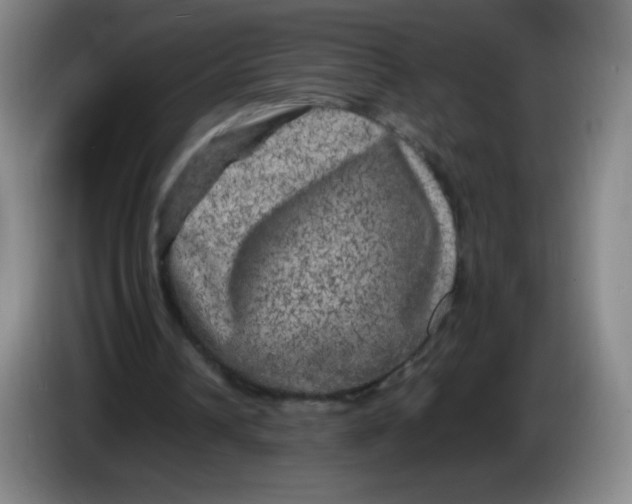 X0000086280242200704191952