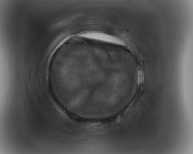 X0000086280243200704191952