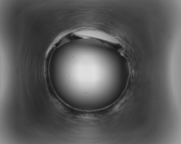 X0000086280244200704191952