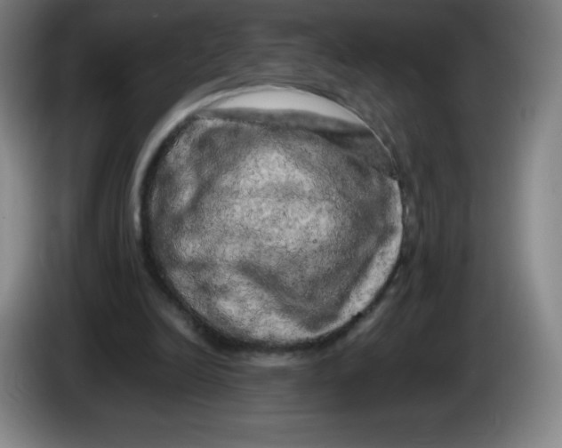 X0000086280246200704191952