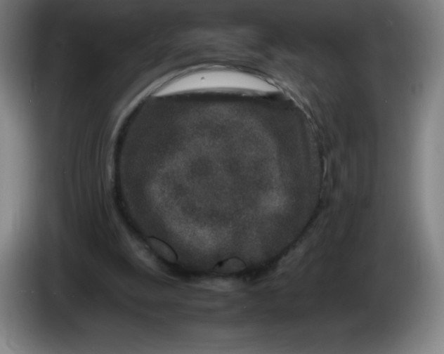 X0000086280247200704191952