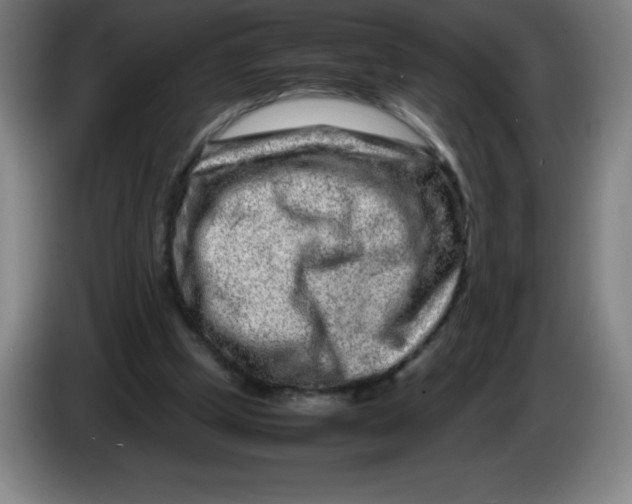 X0000086280249200704191952