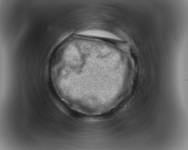 X0000086280250200704191952