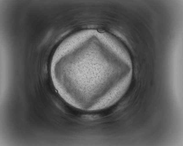 X0000086280251200704191952