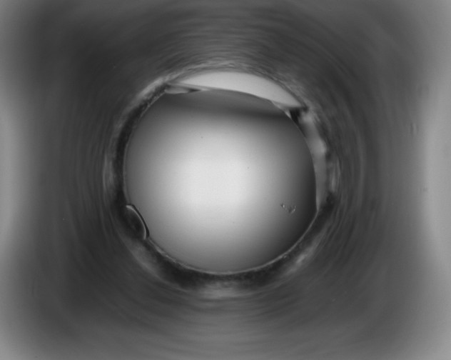 X0000086280252200704191952