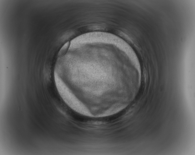 X0000086280255200704191952