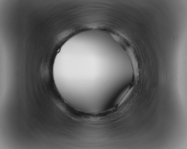 X0000086280256200704191952