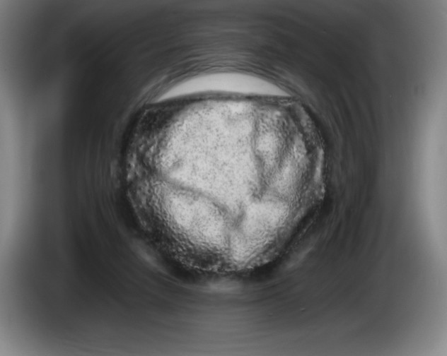 X0000086280258200704191952