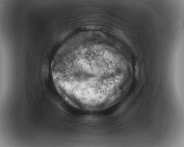 X0000086280259200704191952