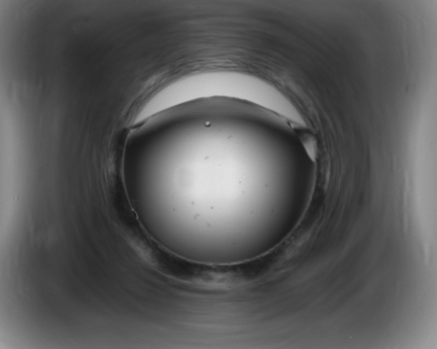 X0000086280260200704191952