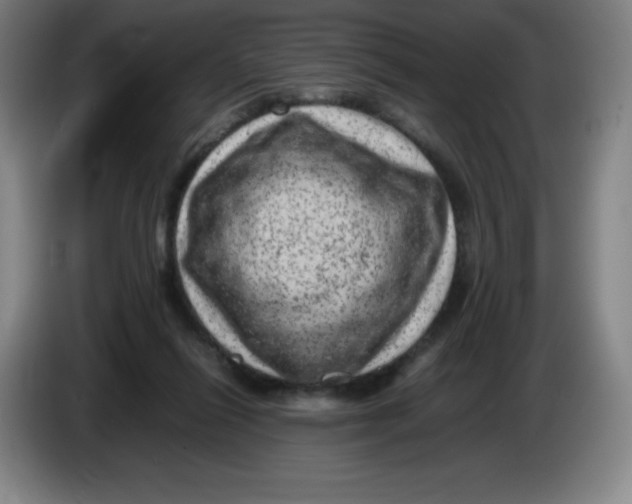 X0000086280262200704191952