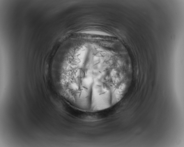 X0000086280263200704191952