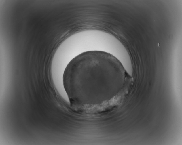 X0000086280264200704191952