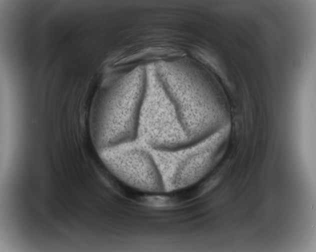 X0000086280265200704191952