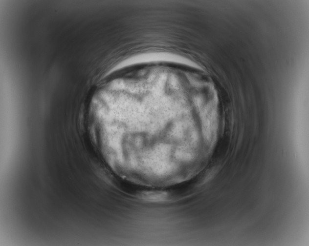 X0000086280266200704191952