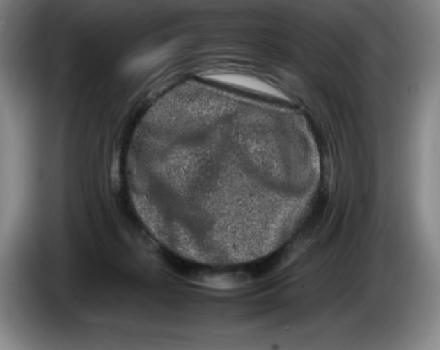 X0000086280267200704191952