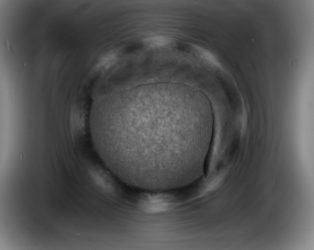 X0000086280268200704191952