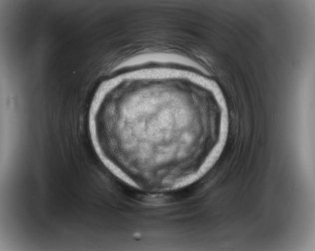 X0000086280269200704191952