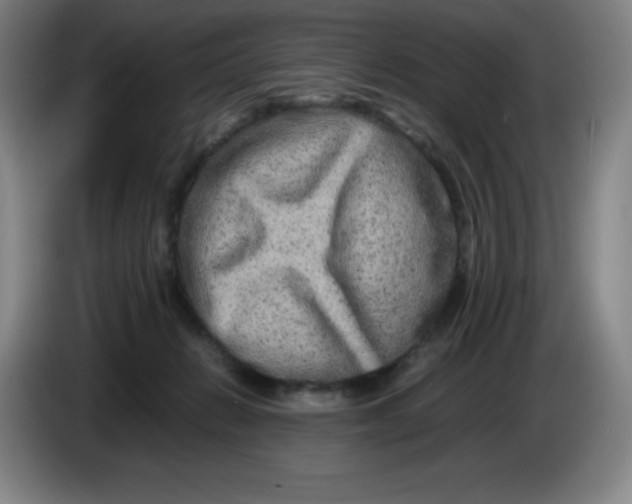 X0000086280270200704191952