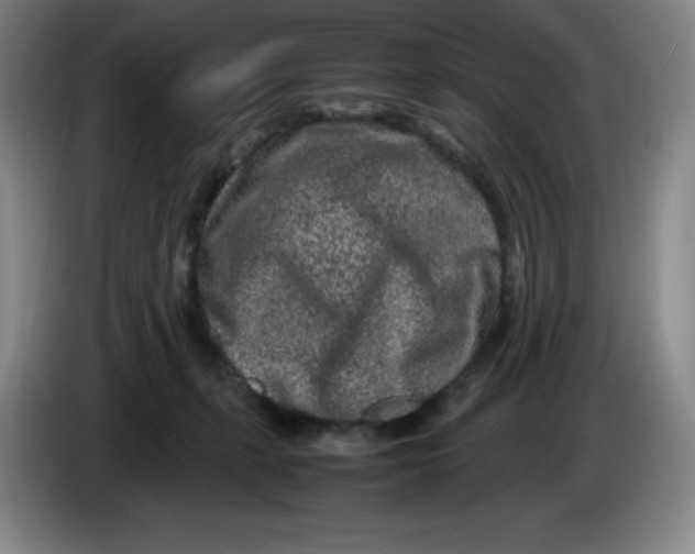 X0000086280271200704191952