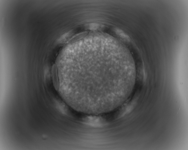 X0000086280272200704191952