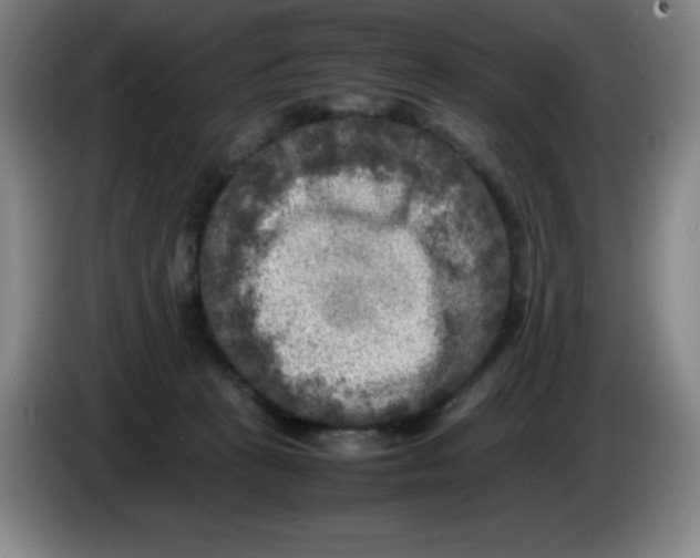 X0000086280273200704191952