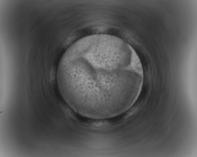 X0000086280274200704191952