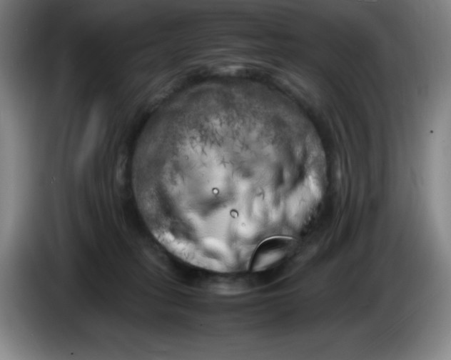 X0000086280275200704191952