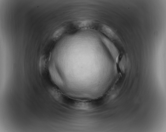 X0000086280276200704191952